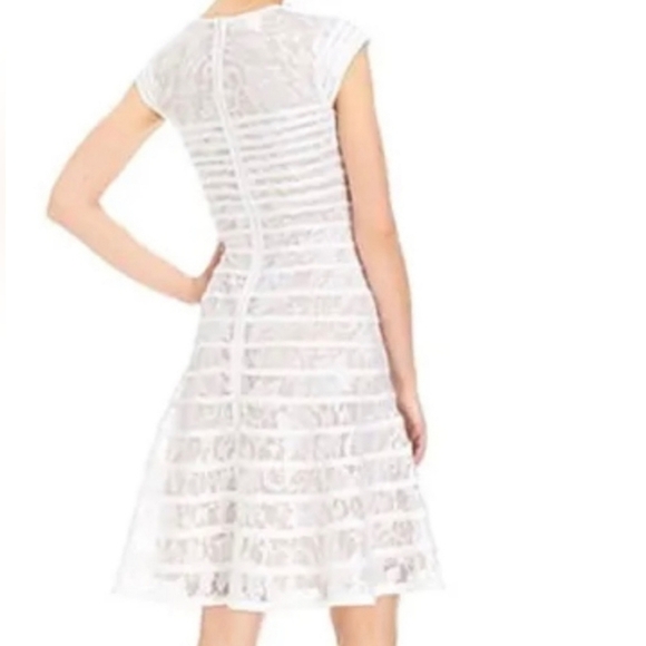 Alfani Lace Striped Dress 10 - Picture 6 of 6